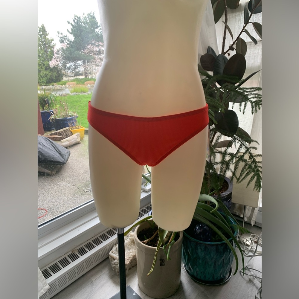 🆕 Malibu Sz L Dream Girl Bright Orange Florescent Bikini Brief Woman’s